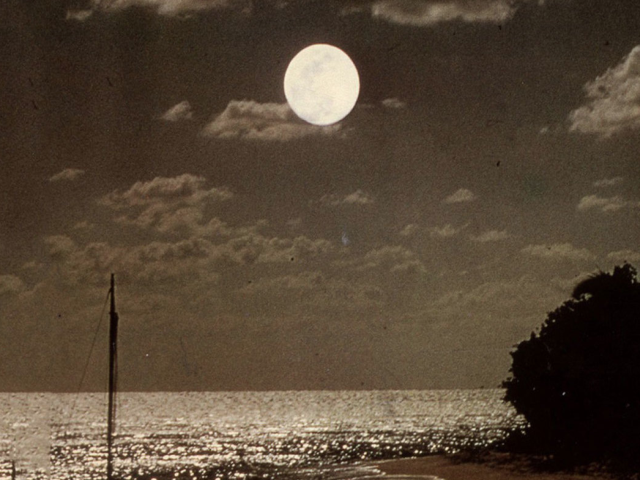Echo And The Bunnymen – The Killing Moon