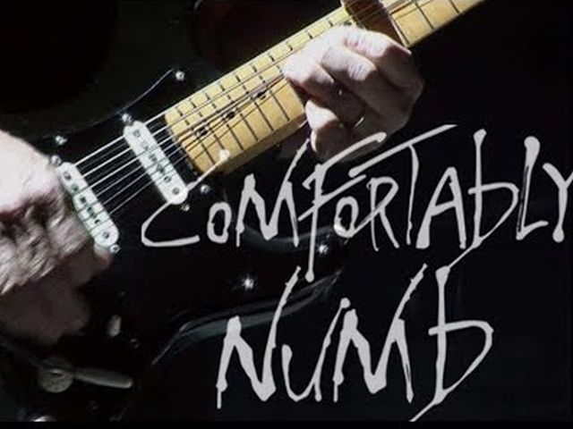 David Gilmour - Comfortably Numb Live