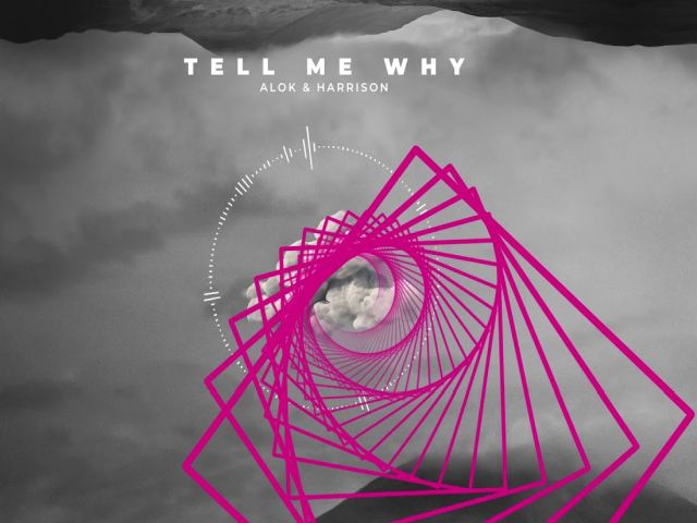 Alok & Harrison - Tell Me Why