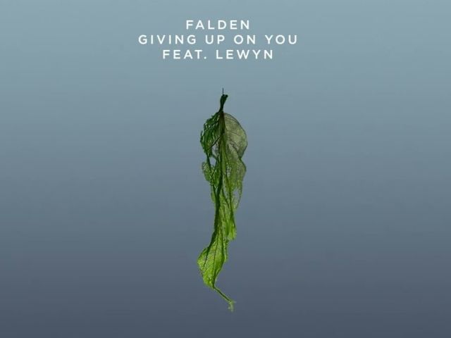Falden - Giving Up On You feat. Lewyn